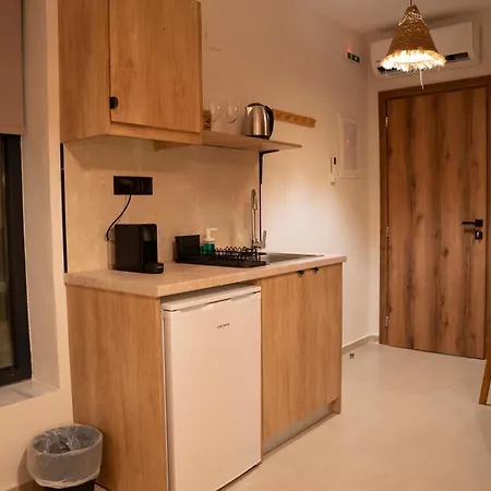 公寓式酒店 Palm Vrasná